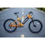Eunorau Defender Fat Tire Dual Motor Electric Mountain Bike - Image 2