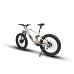Eunorau Defender-S Dual Motor Fat Tire Electric Mountain Bike - Image 17