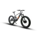 Eunorau Defender-S Dual Motor Fat Tire Electric Mountain Bike - Image 3
