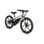 Eunorau E-Kids 20 Electric Fat Tire Bike for Kids - Image 3