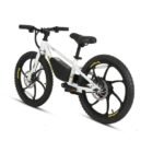 Eunorau E-Kids 20 Electric Fat Tire Bike for Kids - Image 9