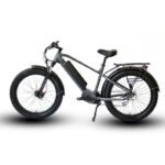 Eunorau FAT-HD Fat Tire Electric Mountain Bike - Image 8