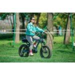 Eunorau Flash Folding Electric Commuter Bike - Image 22