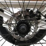 Eunorau New Trike Electric Fat Tire Tricycle - Image 12