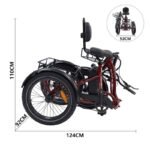 Eunorau One Trike Electric Fat Tire Tricycle - Image 6