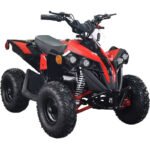 MotoTec E-Bully 36v 1000w ATV - Image 19