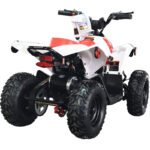 MotoTec E-Bully 36v 1000w ATV - Image 33