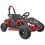 MotoTec Off Road Go Kart 48v 1000w - Image 8